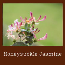 Load image into Gallery viewer, Honeysuckle Jasmine