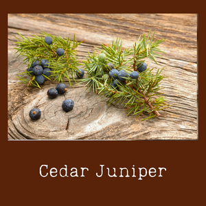 Cedar Juniper