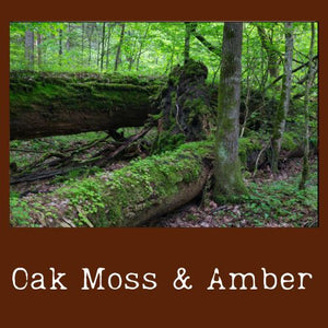 Oak Moss & Amber