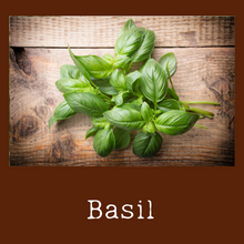 Load image into Gallery viewer, Basil
