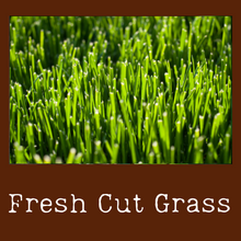 Load image into Gallery viewer, Fresh Cut Grass
