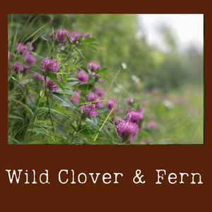 Wild Clover & Fern