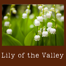 Load image into Gallery viewer, Lily of the Valley

